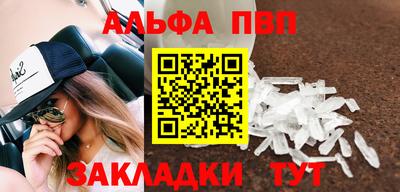 мет Кингисепп