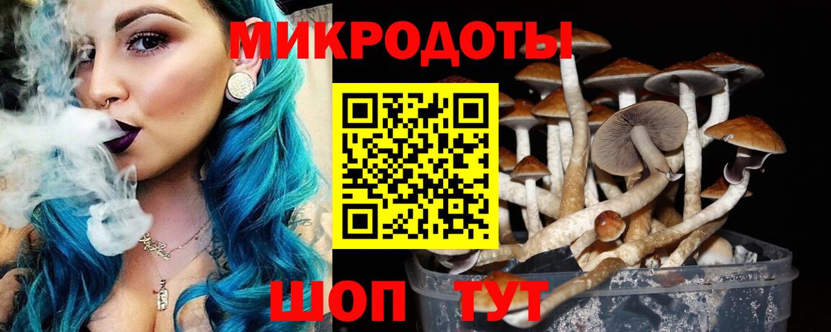 Галлюциногенные грибы ЛСД Рассказово