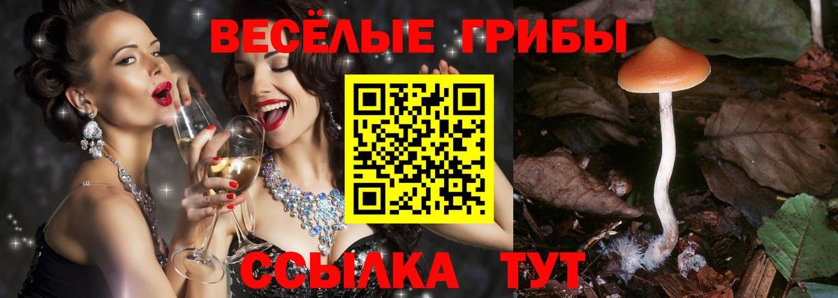 Псилоцибиновые грибы MAGIC MUSHROOMS  Вход с VPN  Псилоцибиновые грибы MAGIC MUSHROOMS  Рассказово 